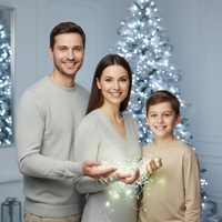 Glimmering Holiday Lights